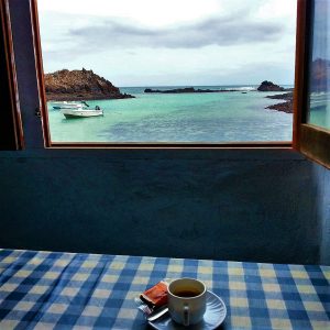 caffè-los-lobos