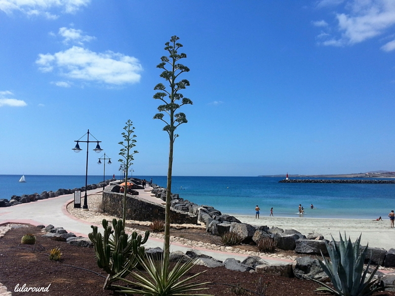fuerteventura-playa