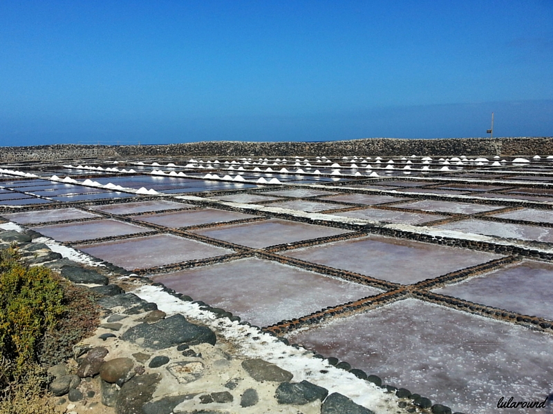 fuerteventura-saline
