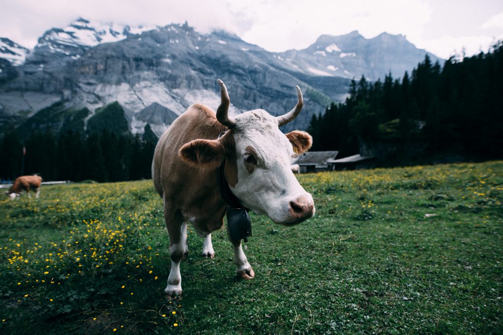 A photo by Michael Fertig. unsplash.com/photos/WM5Vzr_0Qro