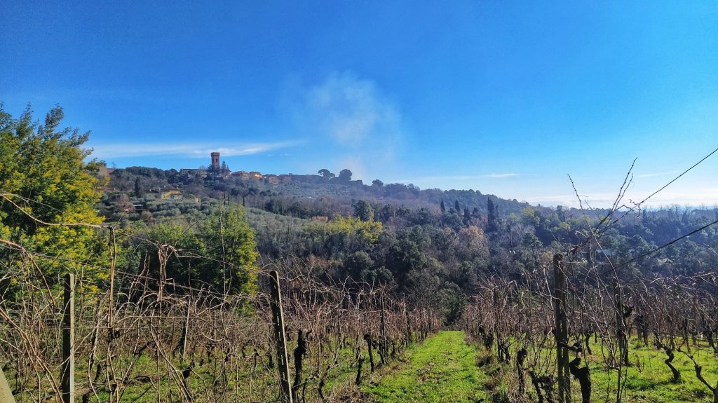 MONTECARLO DI LUCCA, IL BORGO TOSCANO DEL VINO