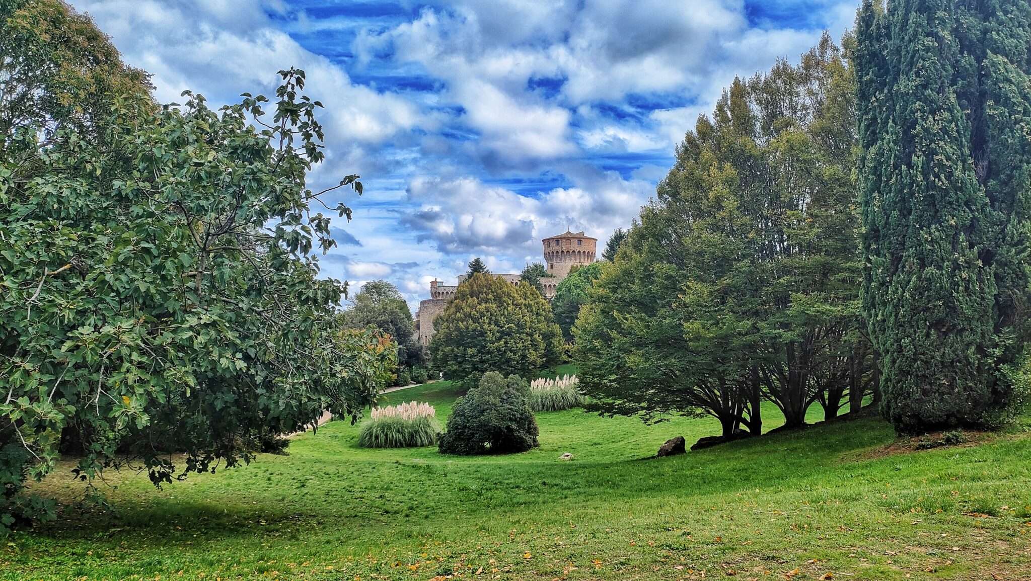 volterra